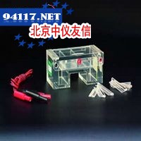 DYCP-31C型 琼脂糖水平电泳仪(槽)(小号)